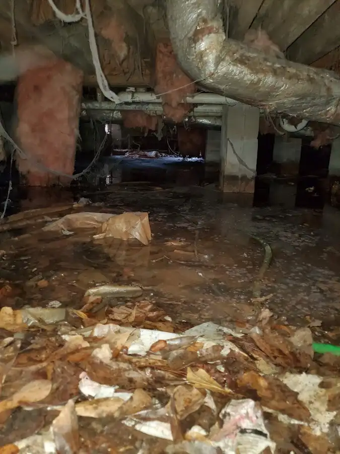 Crawl space flood assessment for Commercial Water Damage Restoration in West Hattiesburg