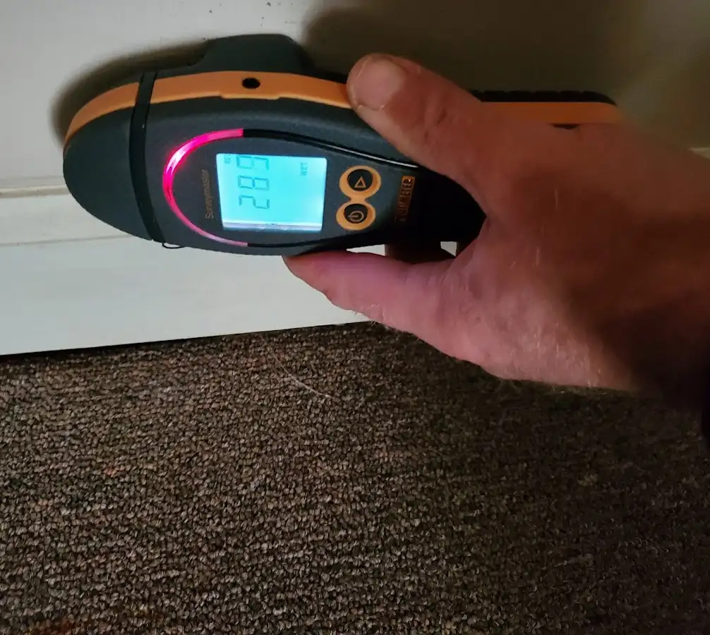 Moisture detection at baseboard during Sewage Cleanup & Sanitation in West Hattiesburg